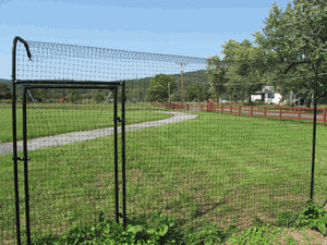 Cat_Gate__77574.1341247423.1280.1280