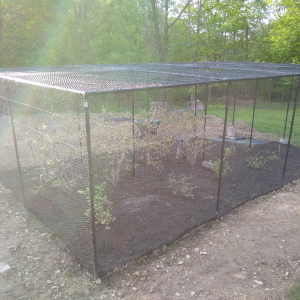 7.5' Steel Hex Web Garden Fence Kit- Fully Enclosed 15' x 15'