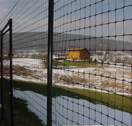 Complete Dog Enclosures