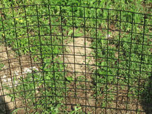 4' x 100' Welded Wire Dog Fence Kit